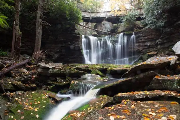 Photo of Elakala Falls Under Small footbridge