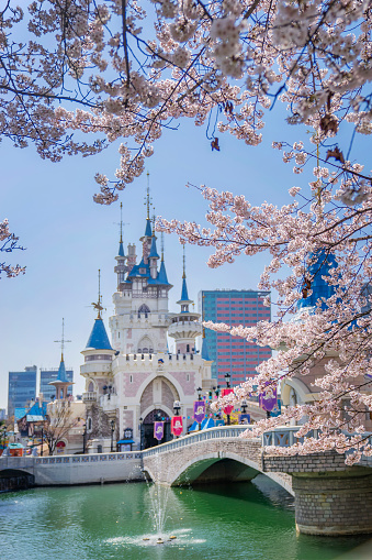 Seoul, South Korea - April 8, 2022: Cherry blossoms frame a castle at Lotte World's Magic Island in the middle of Seokchon Lake in Jamsil.