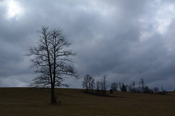 istock Selective focus of hills and trees under the cloudy sky - great for wallpapers 1439775691