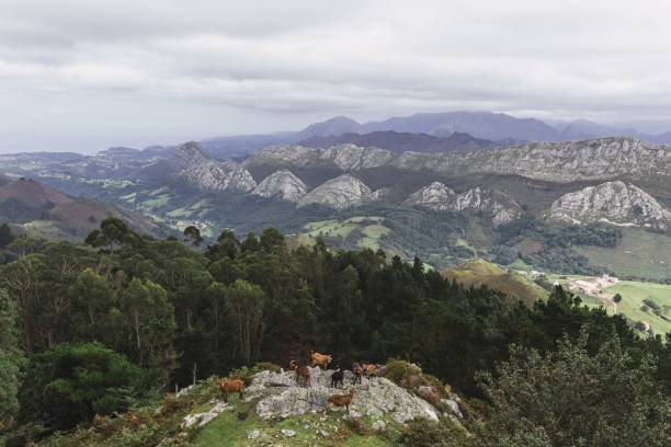 istock Beautiful landscape with mountains during daytime 1439776424