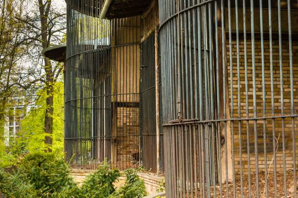 istock Cages with metal coverings surrounded by trees 1439776464