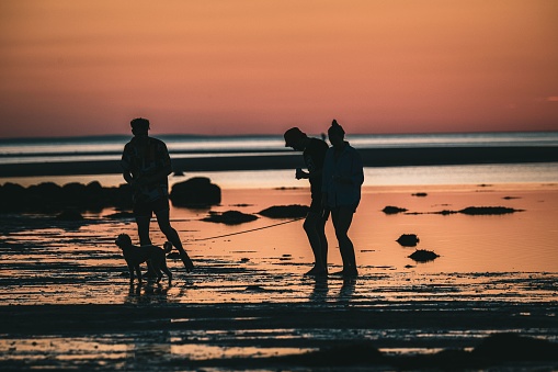 Brewst, United States – July 02, 2022: A silhouette shot of tourists with a dog at the Cape Cod beach in Massachusetts, USA