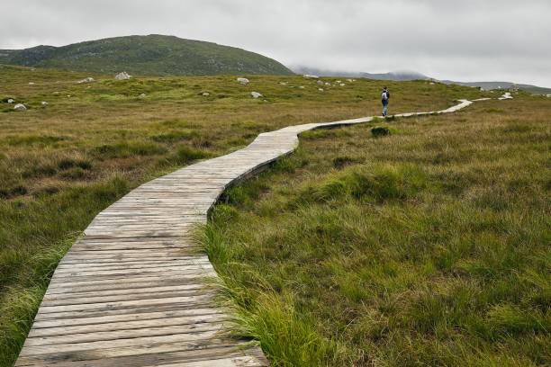 istock Narrow pathway in Connemara National Park in Ireland under a cloudy sky 1439778326