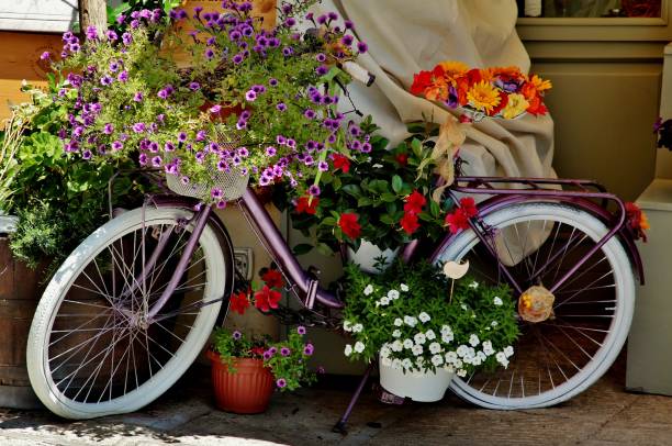 istock Bicycle covered with different colorful flowers in Italy 1439778572