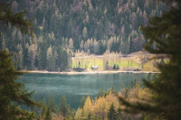 il lautersee vicino a mittenwald nelle alpi bavaresi. - lautersee lake foto e immagini stock