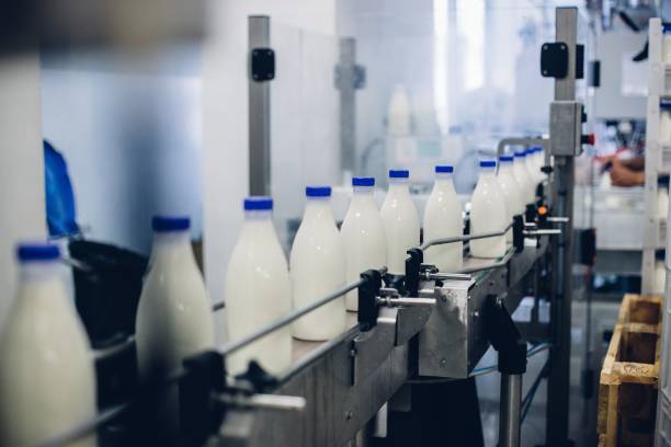 selektywne ujęcie ostrości kompletnej linii butelkowania mleka w fabryce - milk industry milk bottle factory zdjęcia i obrazy z banku zdjęć