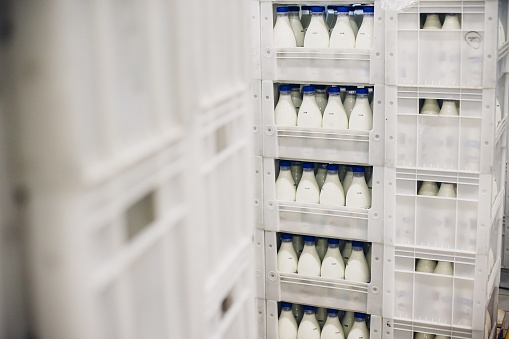 A selective focus shot of bottled milk on the shelves in the factory