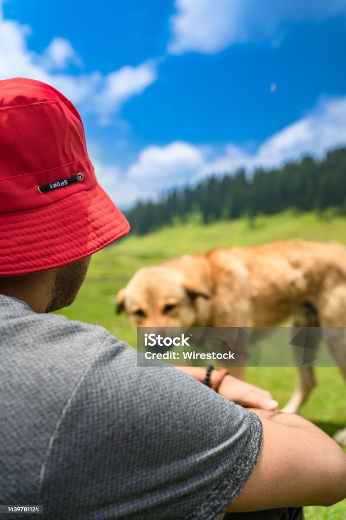 Gulmarg, known as Gulmarag in Kashmiri, is a town, hill station, popular skiing destination. Cropped image of handsome young man with labrador outdoors. Man on a green grass with dog. Cynologist. Andes Stock Photo