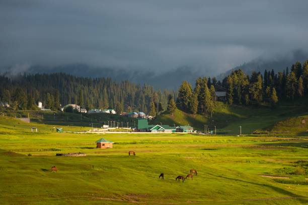 gulmarg, connue sous le nom de gulmarag au cachemire, est une ville. - biologic photos et images de collection