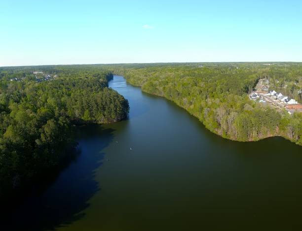 istock Drone view of a wide river surrounded by dense forests under the blue sky 1439782084