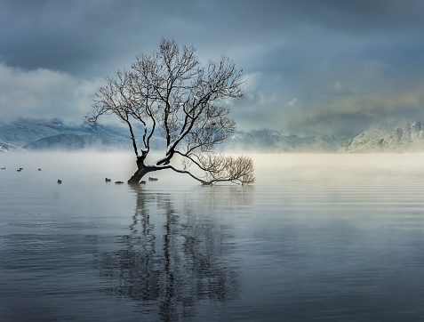 A breathtaking shot of the Lake Wanaka in Wanaka village, New Zealand