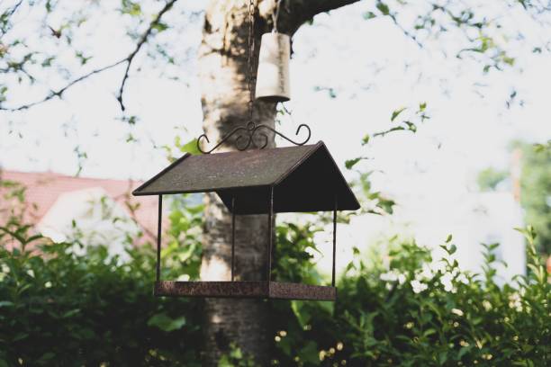 istock Metal rusty old bird feeder hanging on a tree 1439783709