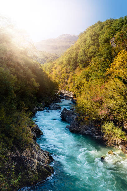 Wild river in mountain forest Wild river waterfall in mountain forest in Montenegro landscape stream autumn forest stock pictures, royalty-free photos & images