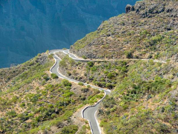 istock winding hill road on Puerto de la Cruz 1439783782