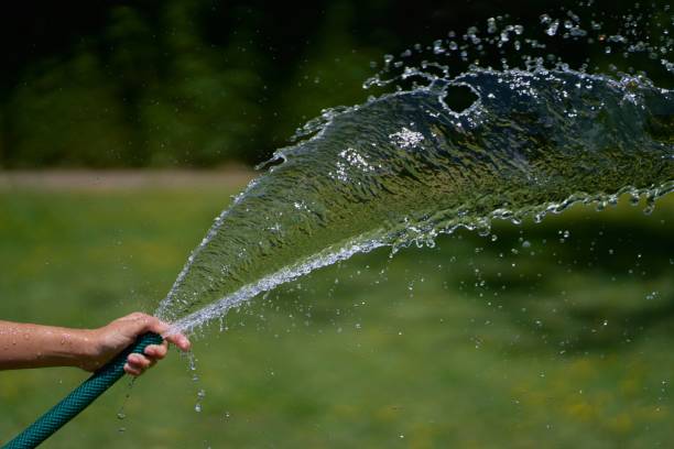 istock Selective focus shot of a hose water stream 1439784613