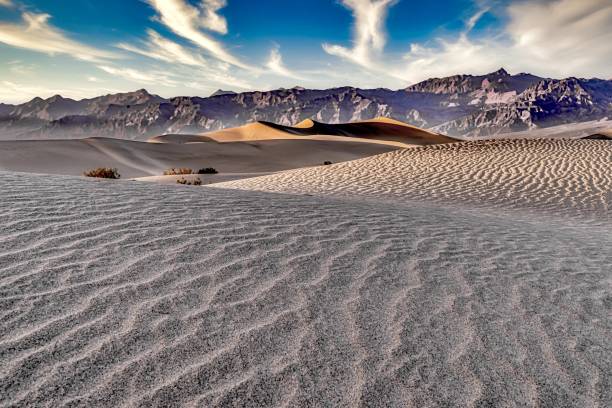 beautiful scenery of the mesquite flat sand dunes, death valley, california - mesquite tree imagens e fotografias de stock