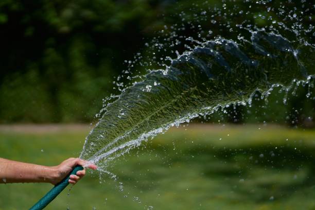 istock Selective focus shot of a hose water stream 1439784621