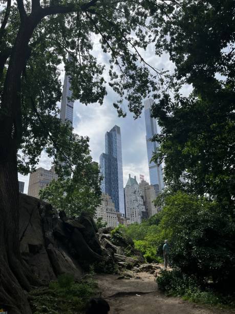 istock Low angle of skyscrapers from a park 1439785279