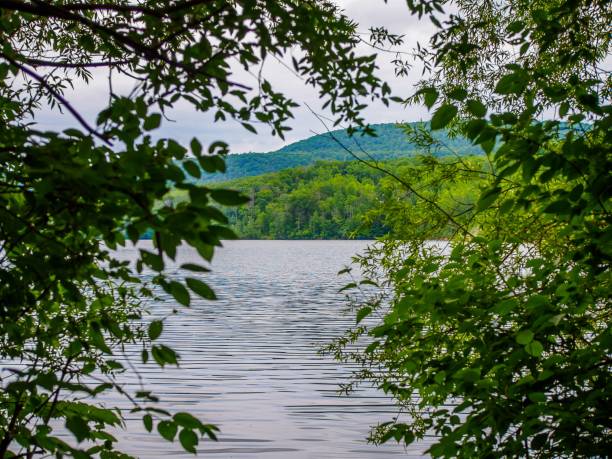 istock New England Nature in Summer 1439785576