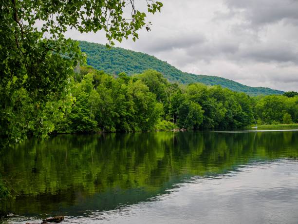 istock New England Nature in Summer 1439785578