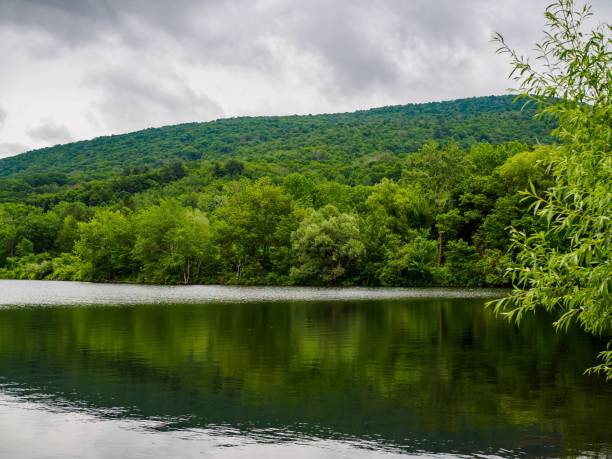 istock New England Nature in Summer 1439785580