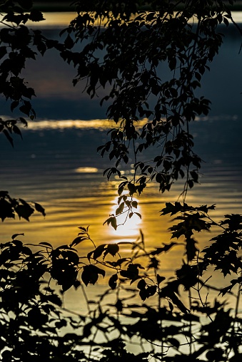 Evening atmosphere at the lake in summer