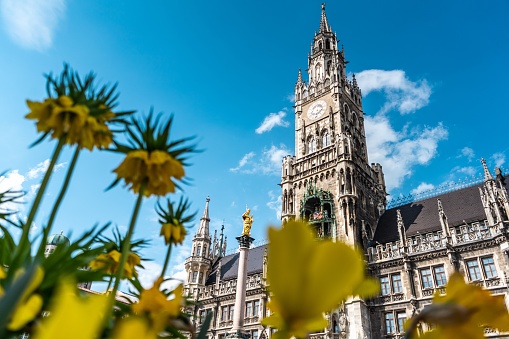 Beautiful colourful spring flowers in front of the famous Marienplatz in Munich