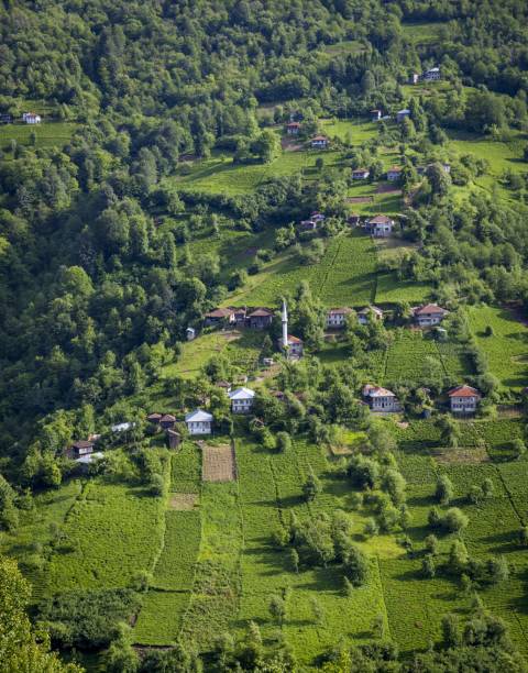 istock High angle view of hills covered in forests and buildings under the sunlight 1439787933