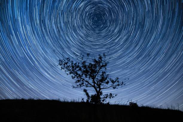 istock Tree silhouette against magical star trails 1439788123