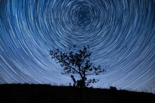 A tree silhouette against magical star trails