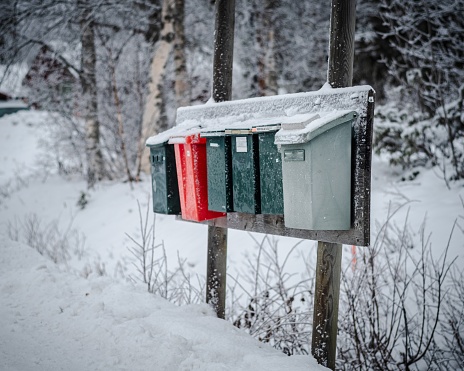 A shot of colorful mailboxes on a wood covered in the snow surrounded by trees on a blurry background