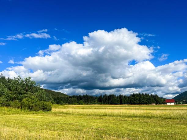 Nature in Gorski Kotar Croatia
