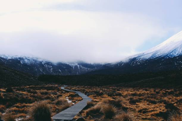istock Wooden pathway going through a field with the snow covered mountain in the background 1439792614