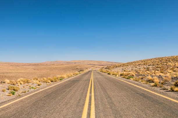istock Long road in the Chilean desert 1439794198