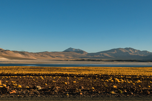 River in the Chilean desert