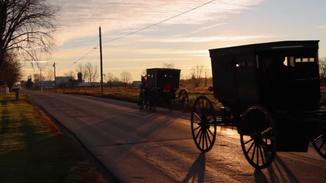 An Amish Buggy travels toward the sun
