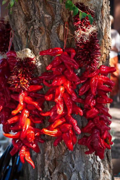 Red Chile Ristras stock photo
