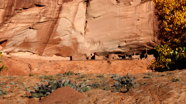 Ancient Cliff Dwellings in Canyon de Chelly stock photo