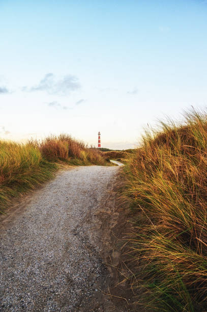 Path leading through the dunes to the lighthouse of Ameland, The Netherlands