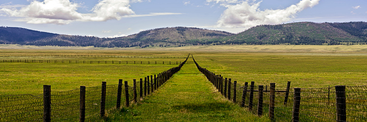 Picturesque view in the Valles Caldera National Preserve