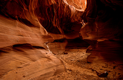 Bronze color slick rocks form deep walkways in bottom of the canyon. The walls form wavy shapes and abstract backgrounds.