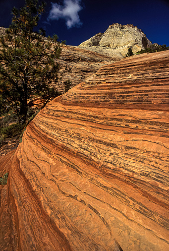 The wind and time have formed the ridges in the rocks forming an abstract crepe pattern look in the cliff
