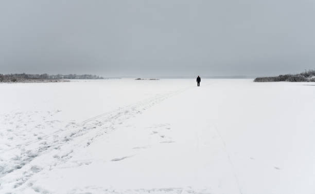 istock Walking alone in misty winter field 1439800480