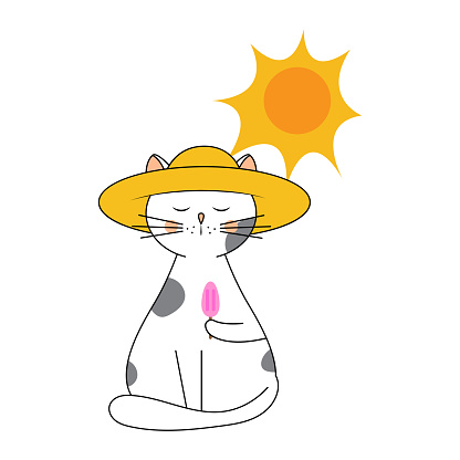 Kucing Lucu Bertopi Panama Makan Es Krim Ilustrasi Anakanak Dengan Gaya