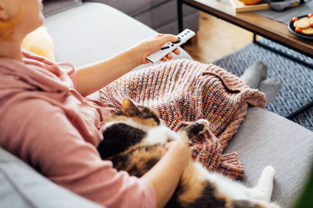 istock No face woman with plaid selecting movie with remote controller and stroking multicolored cat pet on the sofa. Movie night party at home with sweets and hot drinks. Cozy relax time. Selective focus. 1439804065