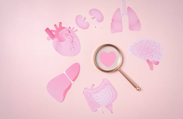 istock Organs donation concept, Magnifier focus to heart icon on pink background. 1439806603