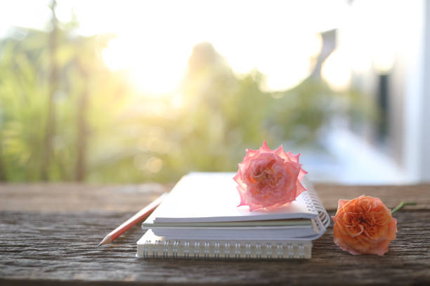 notebook and old rose and pencil on brown table