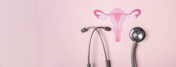 checkup uterus, weibliches fortpflanzungssystem, frauengesundheit, pcos, gynäkologischer eierstockkrebs und gebärmutterhalskrebs, gesundes weibliches konzept - gynecological examination stock-fotos und bilder