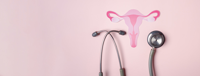 Chequeo útero, sistema reproductor femenino, salud de la mujer, SOP, ovario ginecológico y cáncer cervical, Concepto femenino saludable photo
