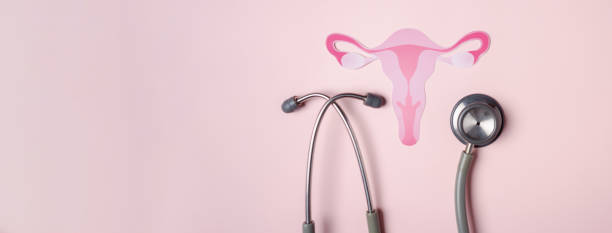 kontrolna macica, żeński układ rozrodczy, zdrowie kobiet, pcos, rak jajnika ginekologiczny i szyjki macicy, zdrowa koncepcja kobiecości - gynecological examination zdjęcia i obrazy z banku zdjęć